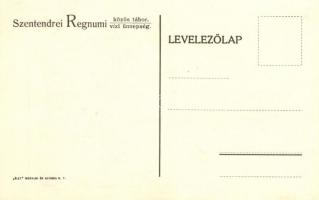 Szentendrei Regnumi közös tábor és vízi ünnepség / school championship, Szentendre, artist signed