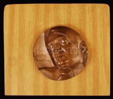 Csíkszentmihályi Róbert (1940-): Ady Endre 1976. Bronz plakett, fára erősítve, jelzett, d:10 cm, 17×20 cm