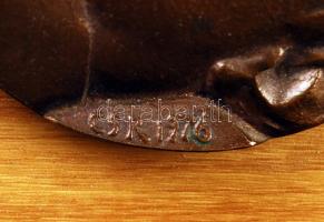 Csíkszentmihályi Róbert (1940-): Ady Endre 1976. Bronz plakett, fára erősítve, jelzett, d:10 cm, 17×...