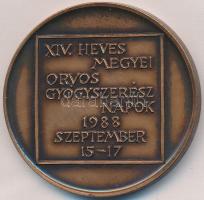 Máthé István (1952-) 1988. "A Gyöngyösi Kórház alapításának emlékére, Vezekényi István kórházal...