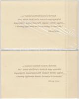 2000. 2000Ft "Millennium" (2x) egymás utáni sorszámmal, eredeti díszcsomagolásban, tájékoz...