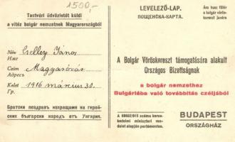 Eleonóra bolgár királyné a testvér magyar nemzet sebesültjeit ápolja; a Bolgár Vöröskereszt támogatá...