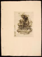 Révész Kornél (1885-1944): Ez a mi könyvünk! Ex libris, rézkarc, papír, jelzett, 13×10,2 cm