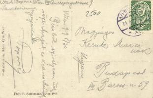 1919 Vienna, Wien; Traber 'Vera Violetta' - Fahrer Fischer jun.; Postkartenverlag Brüder K...