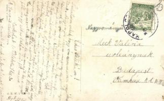 Skijoring B.K.W.I. 820-1 s: Schönpflug (EB)