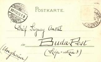 1899 Nach Süden! Nansen und Johansen auf dem Heimwege; Meissner & Buch, Aus Nansen in Nacht und ...