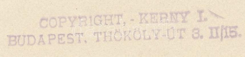 cca 1930 Kerny István (1879-1963): Pasaréti ködös reggel, pecséttel jelzett vintage fotóművészeti al...