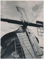 cca 1930 Kerny István (1879-1963): Halasi szélmalom, pecséttel jelzett vintage fotó, 16x12 cm