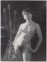 cca 1970 Bozontos virágszálak, finoman erotikus fotó, 24x18 cm / cca 1970 Erotic photo, 24x18 cm