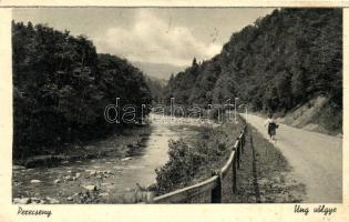 Perecseny, Ung völgye / river