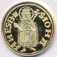 DN "Magyar aranypénzek utánveretben - Károly Róbert aranyforint" aranyozott Ag emlékérem (...