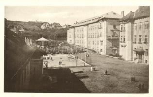 Kolozsvár, Marianum, Joánovics testvérek