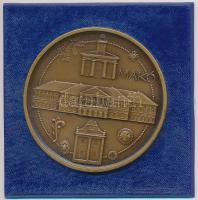 Lapis András (1942-) DN "Makó / Szeged Tourist" Br emlékérem (42,5mm) T:1,1-