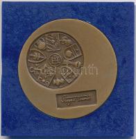 Lapis András (1942-) DN "Makó / Szeged Tourist" Br emlékérem (42,5mm) T:1,1-