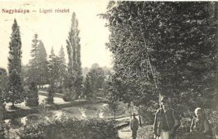 Nagybánya liget / park (cut)