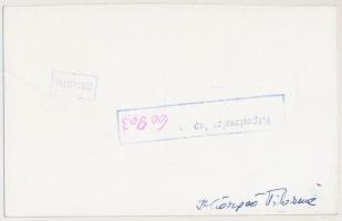1960 Dr. Csörgeő Tiborné BUÉK fotólap terve, aláírva, elutasítva, 14x9 cm