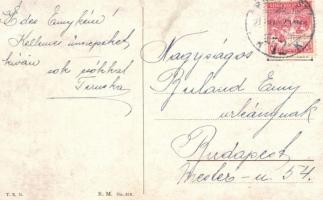 Flight, Theo Stroefer R. M. No. 313. s: Solomko