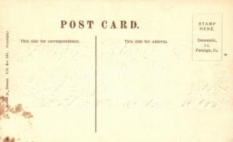 Panama Canal, bird's eye view Emb. (fl)