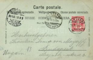 1899 Vierwaldstätter See, Schiller Stein, floral litho (EK)