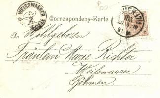 1899 Vienna, Wien; Kirche Maria am Gestade / church, Kosmos litho s: Geiger R