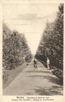 Buziás, bejárat az Acélfürdőhöz, Nr. 10. / entrance of the spa (Rb)