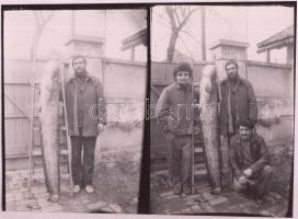 cca 1970 Hajdú János csongrádi fényképész felvételei a szerencsés halászokról és a méretes zsákmányról, 14x20 cm