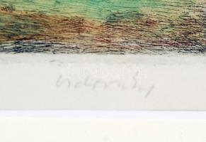 Vidovszky Béla (1883-1973): Dömösi táj. Színezett rézkarc, papír, jelzett, üvegezett (törött) keretb...