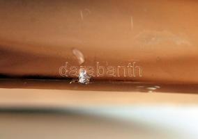 Waltherglas 'Windor' váza, rózsaszín formába öntött üveg, alján apró csorbával, jelzett, 2...