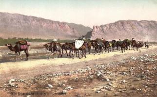 Une Caravane de nomades / Arabian folklore, camels