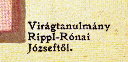 Rippl-Rónai József (1861-1927): Virágcsendélet, litográfia, a Díszítő Művészet c. folyóirat mellékle...