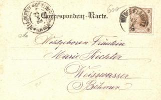 1899 Kaja, Burgruine im Thayathal / castle ruins