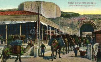 Constantinople, Transport de charbons par chameaux / coal transportation