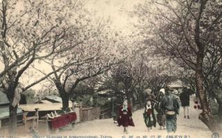 Tokyo, Cherry blossoms in Arakawazutsumi