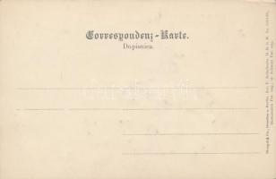 Sarajevo, Ali Pascha Moschee / mosque Emb., Stengel