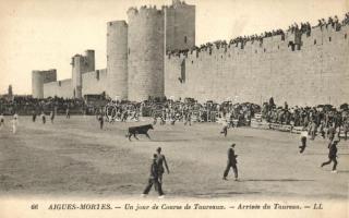 Aigues-Mortes, Un jour de Course de Taureaux, arrivée du Taureau / bullfighting