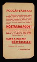 1918 Az őszirózsás forradalom röplapja a Köztársasági párt felhívásával