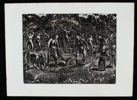 Gáborjáni Szabó Kálmán (1897-1955): Szüretelők. Fametszet, papír, jelzés a dúcon, 23×31 cm