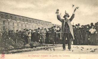 Paris, Le Charmeur d'oiseaux au Jardin de Tuileries / pigeon charmer