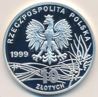 Lengyelország 1999. 10Zl Ag "Fryderyk Chopin" T:PP Poland 1999. 10 Zlotych Ag "Fryderyk Chopin" C:PP