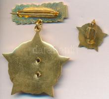 1966. Kiváló újító kitüntetés arany fokozata. Miniatűrrel, igazolólappal tokban. T:1-