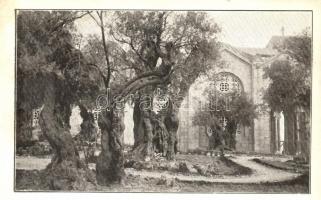 Jerusalem, La Basilica del Getsemani / Gethsemane basilica