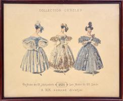 cca 1895 Collection Geszler: A XIX. század divatjai - Die Moden des XIX. Jahrhunderts - Les Modes du XIX. Sciecle. Kőnyomat, üvegezett keretben / Litho fashion picture, 49x59cm