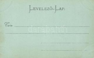 Pozsony vom Schlosse aus gesehen / view from the castle hill