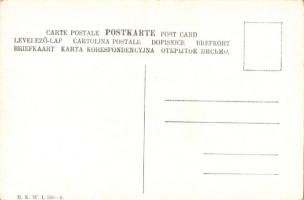 Se. Exzellenz / K.u.K. military B.K.W.I. Serie 530-5. s: Schönpflug