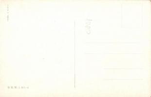 K.u.K. military B.K.W.I. Serie 217-6 s: Schönpflug