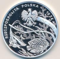 Lengyelország 2001MW 10Zl Ag "Michal Siedlecki" T:PP Poland 2001MW 10 Zlotych Ag "Michal Siedlecki" C:PP