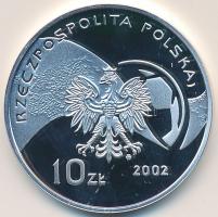 Lengyelország 2002MW 10Zl Ag "Labdarúgó VB" multicolor T:PP Poland 2002MW 10 Zlotych Ag "World Cup Soccer" multicolour C:PP