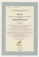 Csurgó 1997. "Napsugár Ruházati Részvénytársaság" törzsrészvénye 1000Ft, 10.000Ft, 50.000Ft és 100.000Ft-ról T:I
