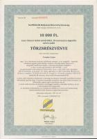 Csurgó 1997. "Napsugár Ruházati Részvénytársaság" törzsrészvénye 1000Ft, 10.000Ft, 50.000F...
