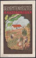 cca 1930 A Magyar Országos Selyemtenyésztési Felügyelőség Selyemtenyésztés a gazdaságban című nyomtatványa